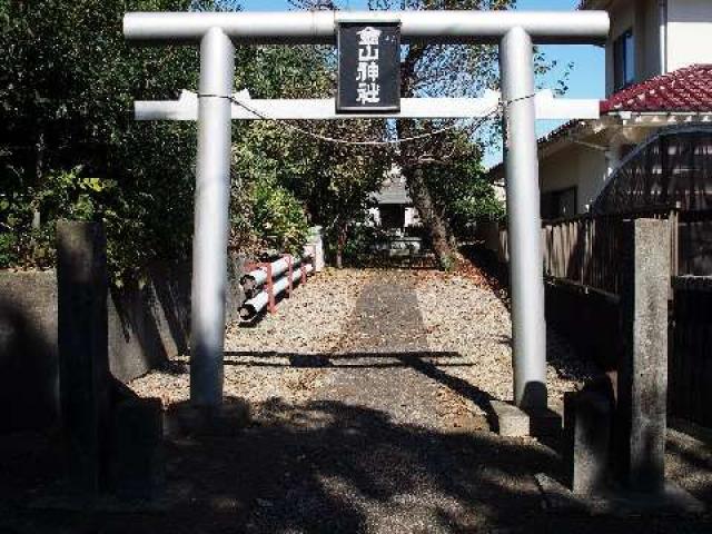 神奈川県相模原市南区当麻138付近 金山神社の写真1
