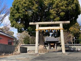 日吉浅間神社の参拝記録(🤗あんこさん)