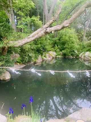 唊嗽神社（磯部稲村神社摂社）の参拝記録(しえるさん)