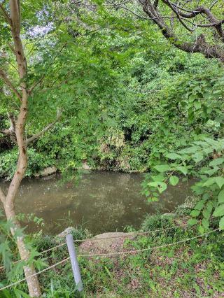 唊嗽神社（磯部稲村神社摂社）の参拝記録(zx14rさん)