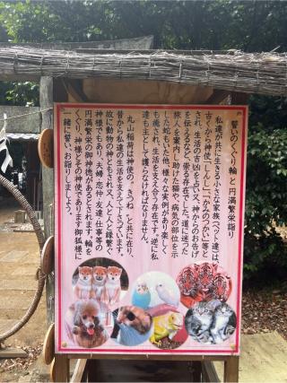 丸山稲荷神社の参拝記録(⛩️🎠🐢まめ🐢🎠⛩️さん)
