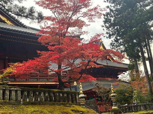 日光山輪王寺 大護摩堂の参拝記録6