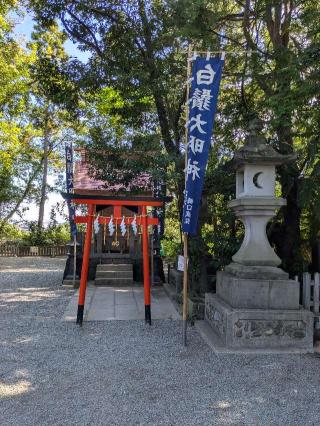 白髭神社の参拝記録(こまいぬおさん)