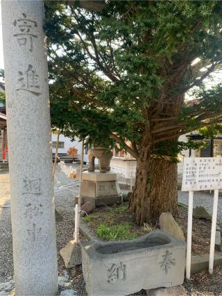 厳島神社の参拝記録(DAISANさん)