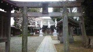 森野住吉神社の参拝記録(miyumikoさん)