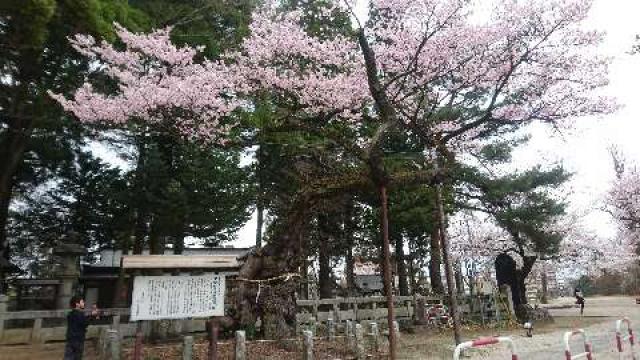 愛宕稲荷神社の参拝記録5
