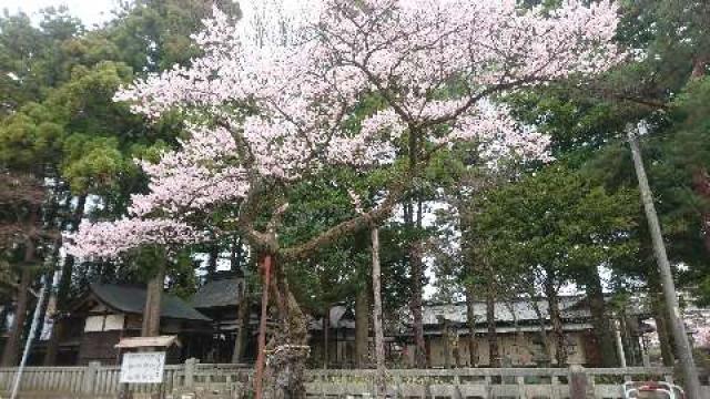 長野県飯田市愛宕町 愛宕稲荷神社の写真2