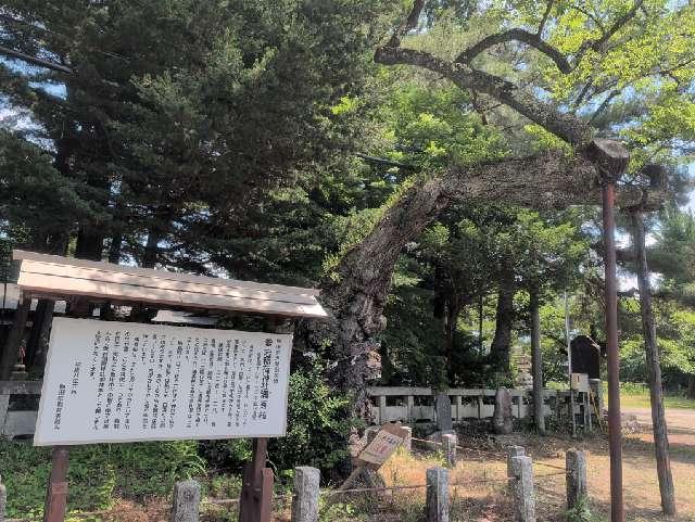長野県飯田市愛宕町 愛宕稲荷神社の写真9