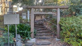 猿楽神社の参拝記録(まっちゃんさん)