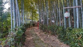瓊寶庫山本宮の参拝記録(まっちゃんさん)