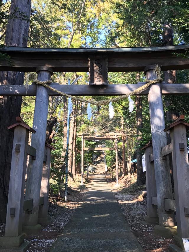 金井八幡神社の参拝記録8
