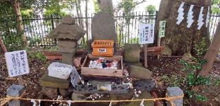 金井八幡神社の参拝記録(takithunderさん)