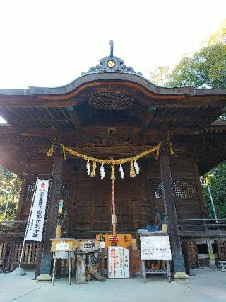 金井八幡神社の参拝記録(またたびさん)
