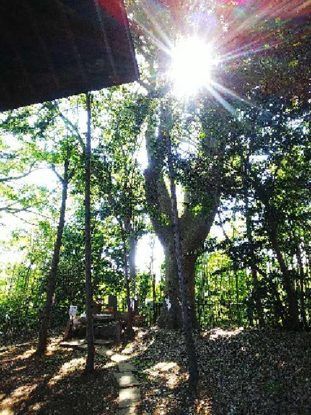 東京都町田市金井町2686 金井八幡神社の写真8