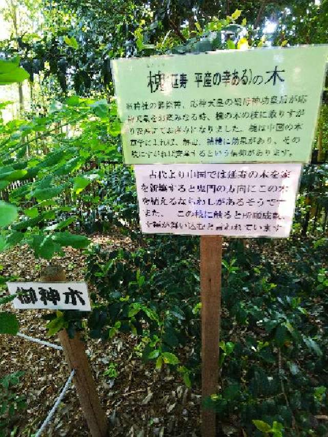 東京都町田市金井町2686 金井八幡神社の写真9