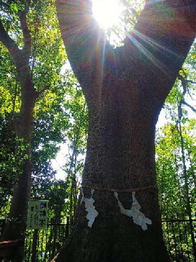 東京都町田市金井町2686 金井八幡神社の写真13