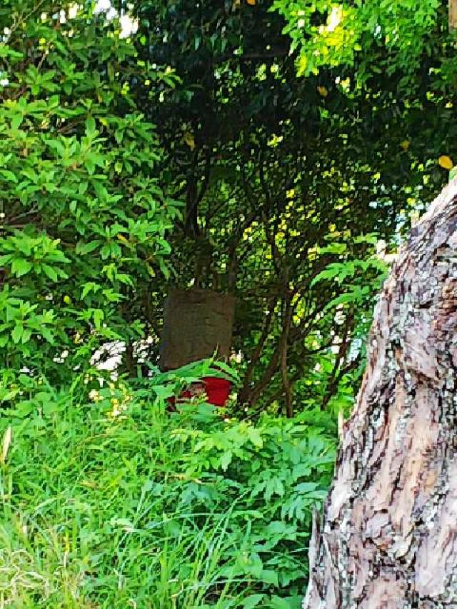 東京都町田市金井町2686 金井八幡神社の写真22
