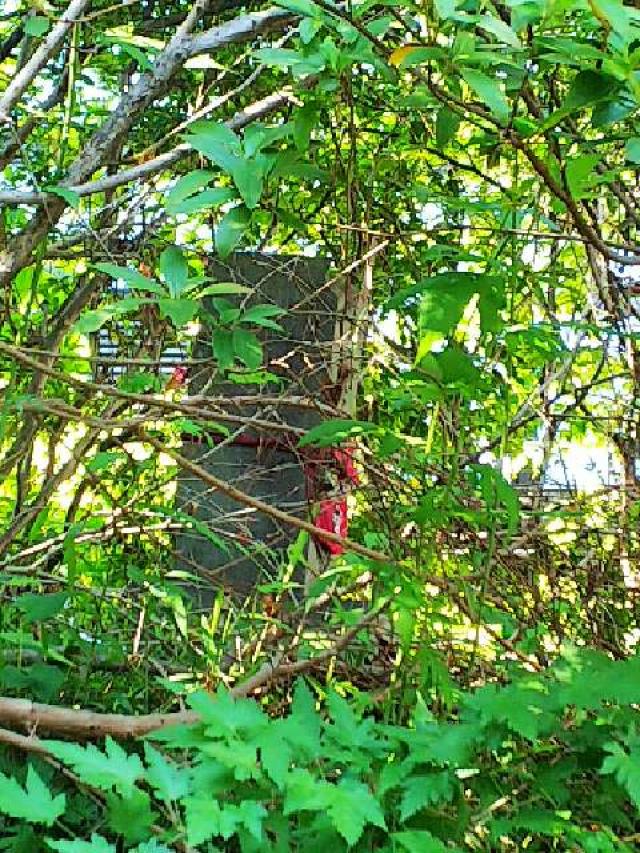 東京都町田市金井町2686 金井八幡神社の写真23