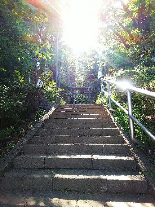 東京都町田市金井町2686 金井八幡神社の写真26