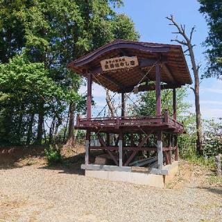 金井八幡神社の参拝記録(プラティニさん)