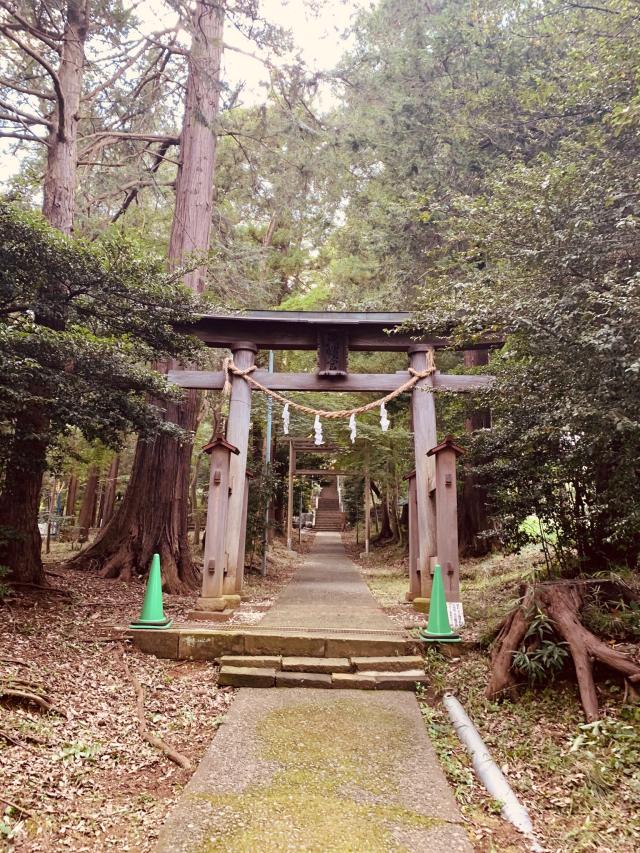 金井八幡神社の参拝記録4