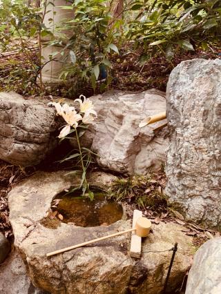 金井八幡神社の参拝記録(tsuさん)