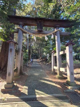 金井八幡神社の参拝記録(ヒロ&ダディさん)