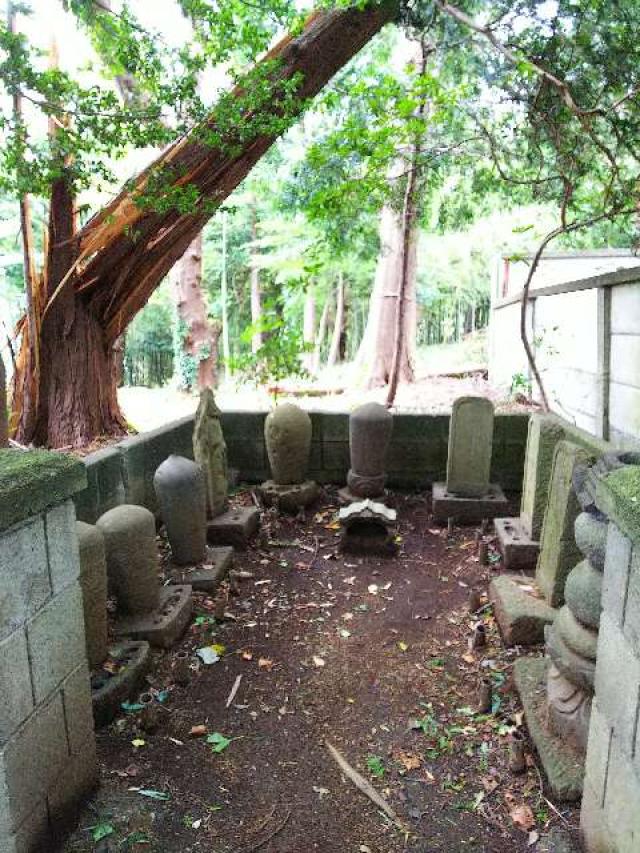 東京都町田市南大谷４５１ 南大谷天神社の写真9