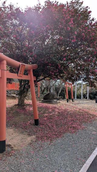 彦六神社の参拝記録(こまいぬおさん)