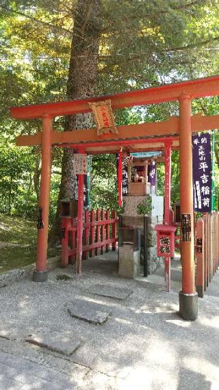 王地山まけきらい稲荷の参拝記録(たからのあしさん)