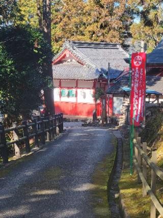 王地山まけきらい稲荷の参拝記録(にゃんこさん)