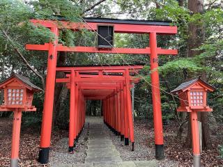 御霊神社（本宮）の参拝記録(まきちゃんさん)