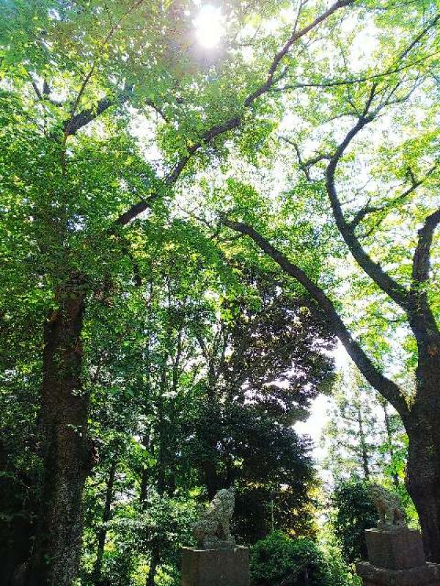 東京都町田市広袴町444 神明社（広袴神明社）の写真11