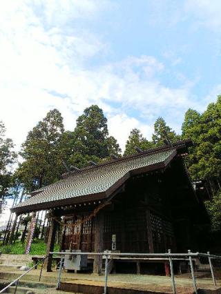飯守神社の参拝記録(またたびさん)