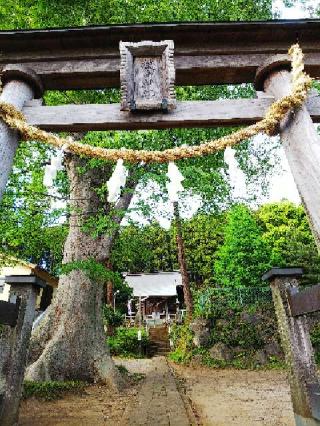飯守神社の参拝記録(またたびさん)