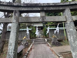 諏訪神社 上社（片瀬）の参拝記録(こーちんさん)
