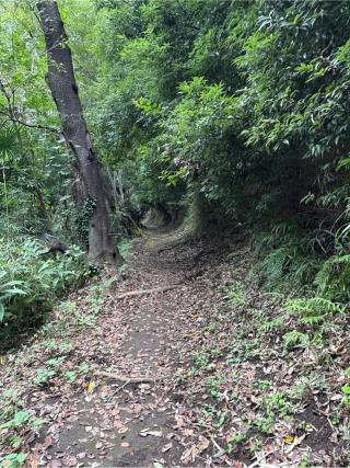 有鹿神社 奥宮の参拝記録(⛩️🎠🐢まめ🐢🎠⛩️さん)