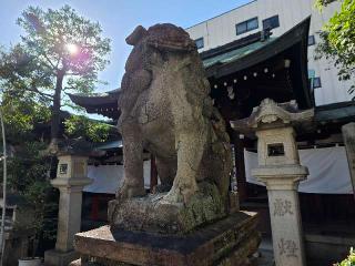元祇園梛神社の参拝記録(飛成さん)