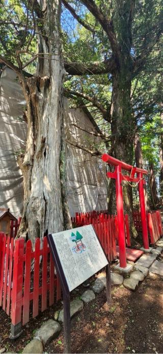 涼ヶ岡八幡神社の参拝記録(®️さん)