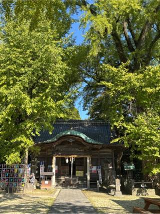 綾部八幡神社の参拝記録(ほちさん)