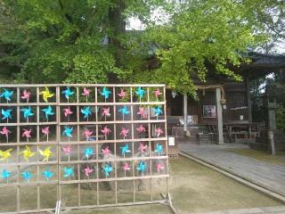 綾部八幡神社の参拝記録(ふくちゃんさん)