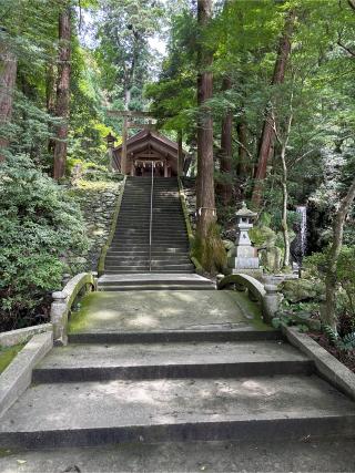 伊野天照皇大神宮の参拝記録(モリシゲさん)