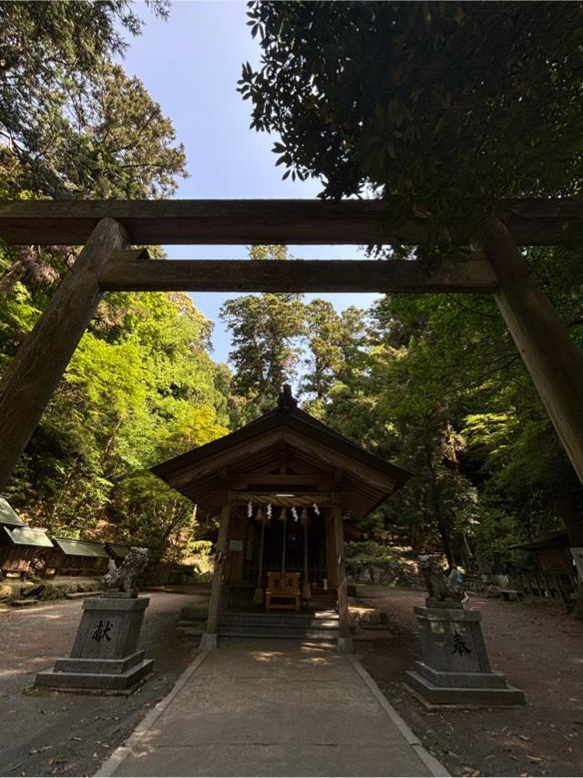 伊野天照皇大神宮の参拝記録4