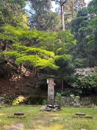 伊野天照皇大神宮の参拝記録(ほちさん)