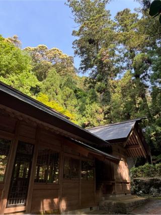 伊野天照皇大神宮の参拝記録(ほちさん)