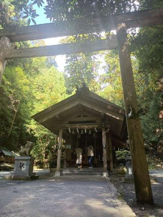 伊野天照皇大神宮の参拝記録(ゆみねえさん)