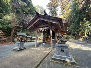 伊野天照皇大神宮の参拝記録(koさん)
