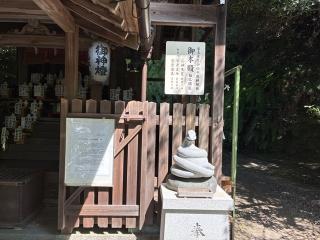 大豊神社の参拝記録(たくみさん)