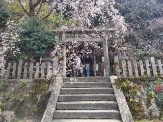 大豊神社の参拝記録(ロビンさん)