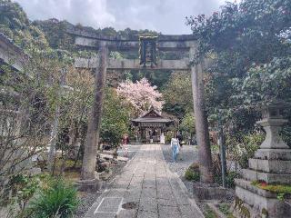 大豊神社の参拝記録(ロビンさん)